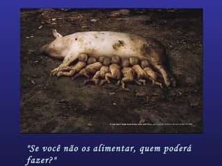 "Se você não os alimentar, quem poderá
fazer?"
 