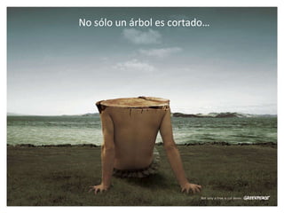 No sólo un árbol es cortado… 