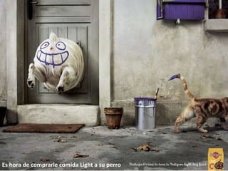 Es hora de comprarle comida Light a su perro 