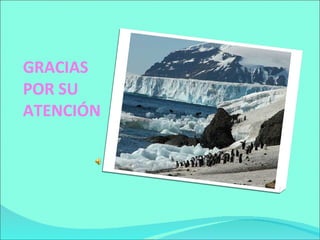 GRACIAS POR SU ATENCIÓN  