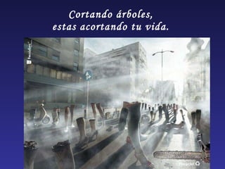 Cortando árboles,  estas acortando tu vida.  