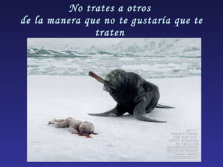 No trates a otros  de la manera que no te gustaría que te traten  