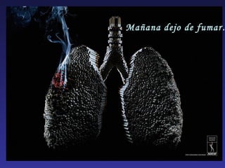 Mañana dejo de fumar… 