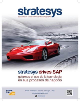 Stratesys Drives SAP - Guiamos el uso de la tecnología en sus procesos