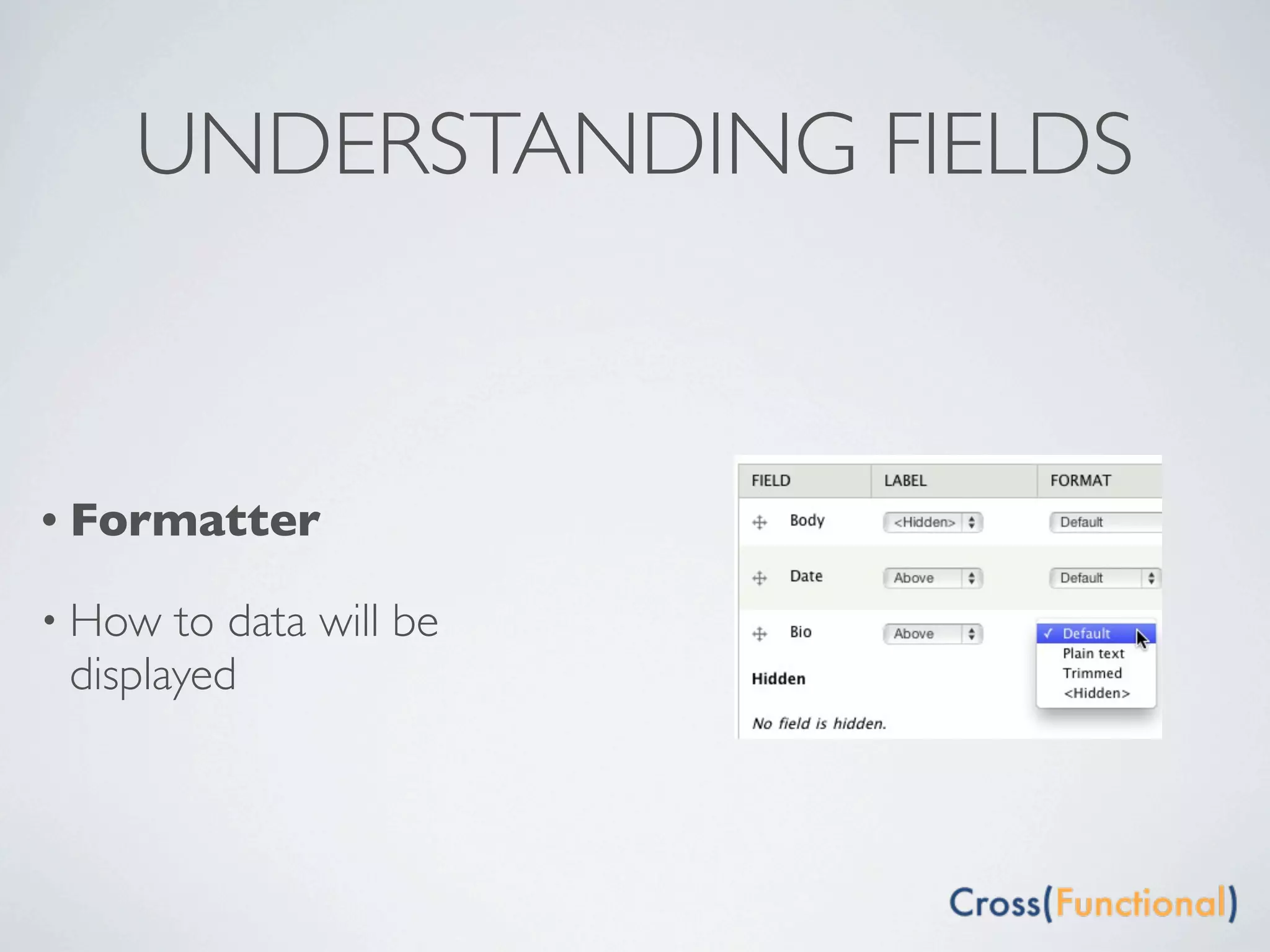 UNDERSTANDING FIELDS



• Formatter

• How  to data will be
 displayed
 