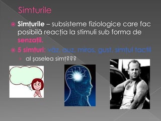  Simţurile – subsisteme fiziologice care fac
  posibilă reacţia la stimuli sub forma de
  senzaţii.
 5 simţuri: văz, auz, miros, gust, simţul tactil
    › al şaselea simţ???
 