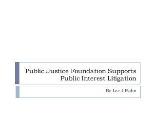 Public Justice Foundation Supports
Public Interest Litigation
By Lee J Rohn

 