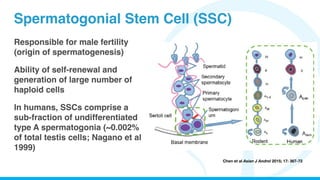Public lecture - Stem Cell and Male Infertility | PDF
