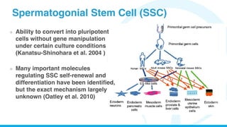Public lecture - Stem Cell and Male Infertility | PDF