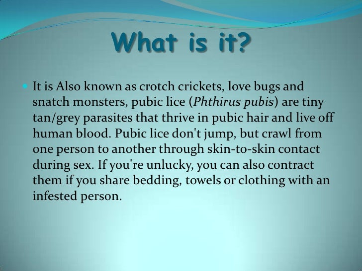 Pubic Lice And Scabies
