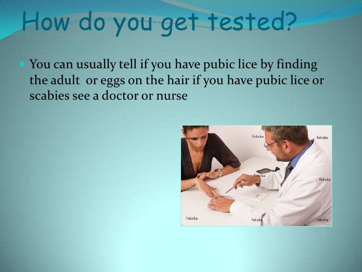 Pubic Lice And Scabies