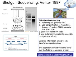 Shotgun Sequencing: Venter 1997
Same approach is used throughout NGS
Paired-end sequencing:
1. Randomly cut genomic DNA.
2. Use Gel-purification to make three
libraries of random DNA fragments:
2kb, 10kb, 50kb
2. Sequence from both ends.
3. Use distance information to assemble
contigs into scaffolds.
Distance information allows you to
„jump‟ over repeat regions.
This approach allowed Venter to „jump‟
over the federal sequencing project
 