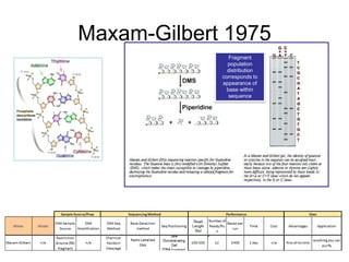 Maxam-Gilbert 1975
Fragment
population
distribution
corresponds to
appearance of
base within
sequence
 