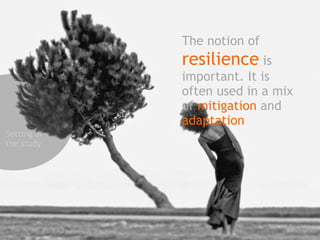 The notion of 
resilience is 
important. It is 
often used in a mix 
of mitigation and 
adaptation 
Setting of 
the study 
 