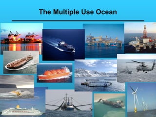 Public-Private Partnerships  In Ocean Sustainability: Industry Leadership and Collaboration