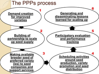 Public Private Partnership in bean seed systems in Africa is key to sustainability   	