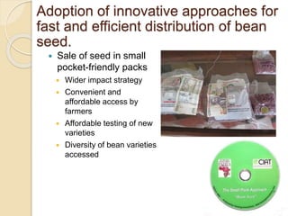 Public Private Partnership in bean seed systems in Africa is key to sustainability   	