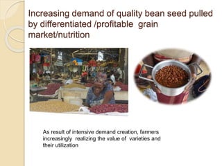 Public Private Partnership in bean seed systems in Africa is key to sustainability   	