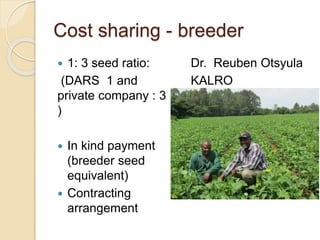 Public Private Partnership in bean seed systems in Africa is key to sustainability   	
