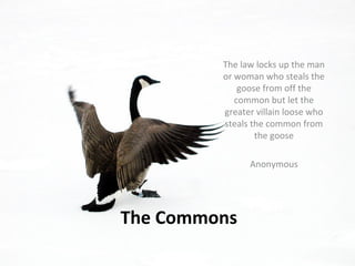 The law locks up the man 
or woman who steals the 
goose from off the 
common but let the 
greater villain loose who 
steals the common from 
The Commons 
the goose 
Anonymous 
 