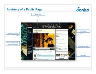 Anatomy of a Public Page Your Logo / photo Your Blogs Your wall showing activity and stuff Basic Info Your Fans Your Twitter feed 
