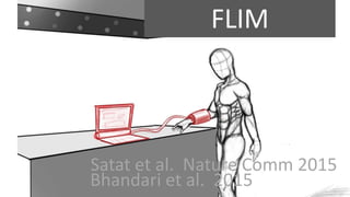 FLIM
Satat et al. Nature Comm 2015
Bhandari et al. 2015
 