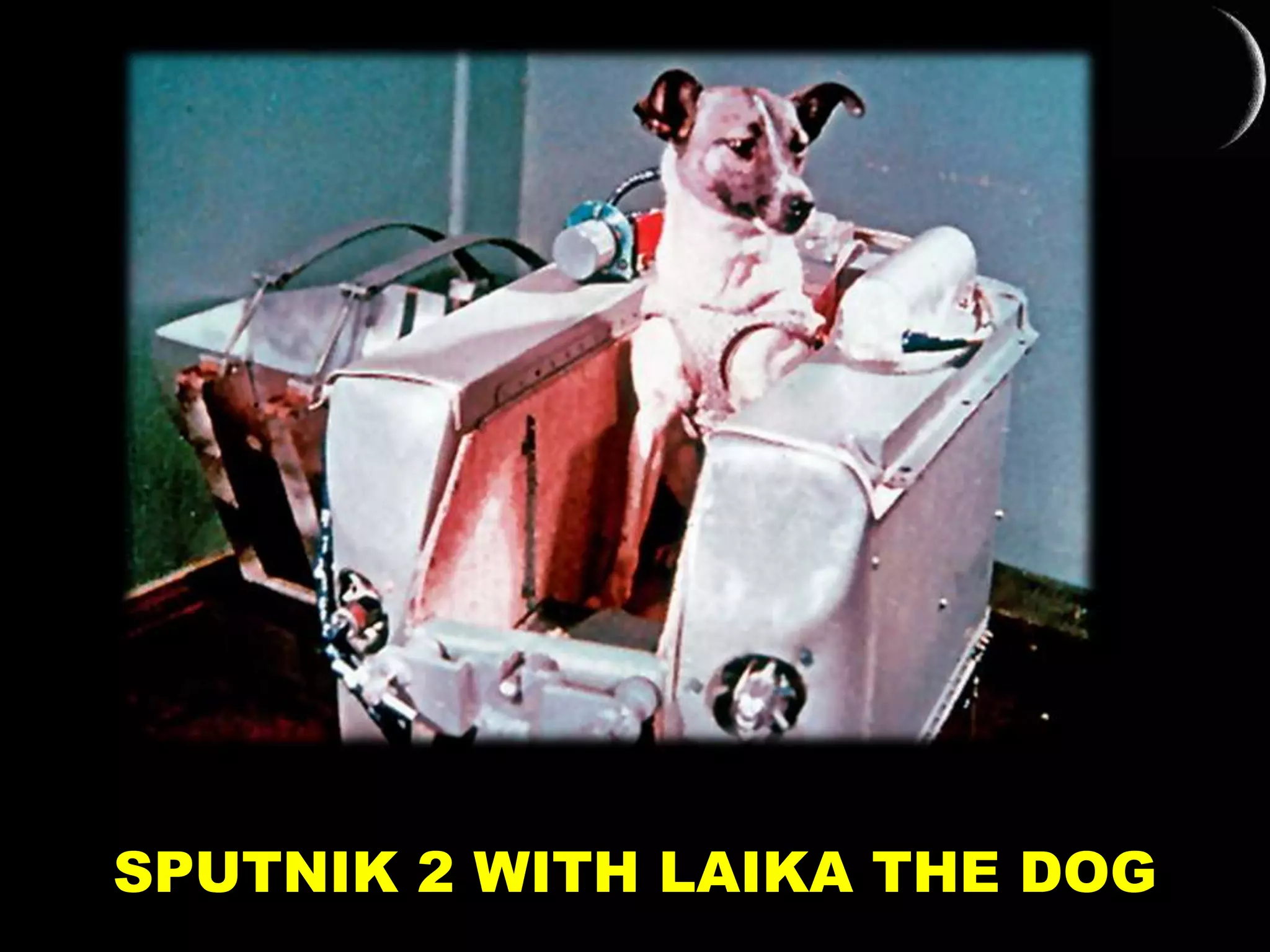 SPUTNIK 2 WITH LAIKA THE DOG
 