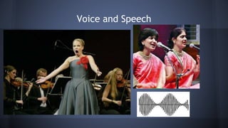 Voice and Speech
 