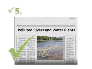 Polluted Rivers and Water Plants
 