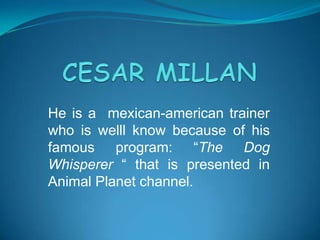 He is a mexican-american trainer
who is welll know because of his
famous program: “The Dog
Whisperer “ that is presented in
Animal Planet channel.
 