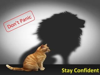 Stay Confident 
Don’t Panic 
 