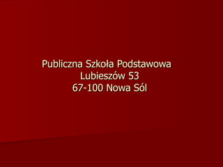 Publiczna Szkoła Podstawowa  Lubieszów 53 67-100 Nowa Sól 