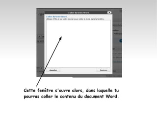 Cette fenêtre s'ouvre alors, dans laquelle tu pourras coller le contenu du document Word. 
