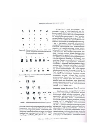 Publikasi jurnal ilmiah