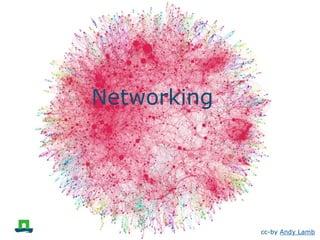 Networking

cc-by Andy Lamb

 