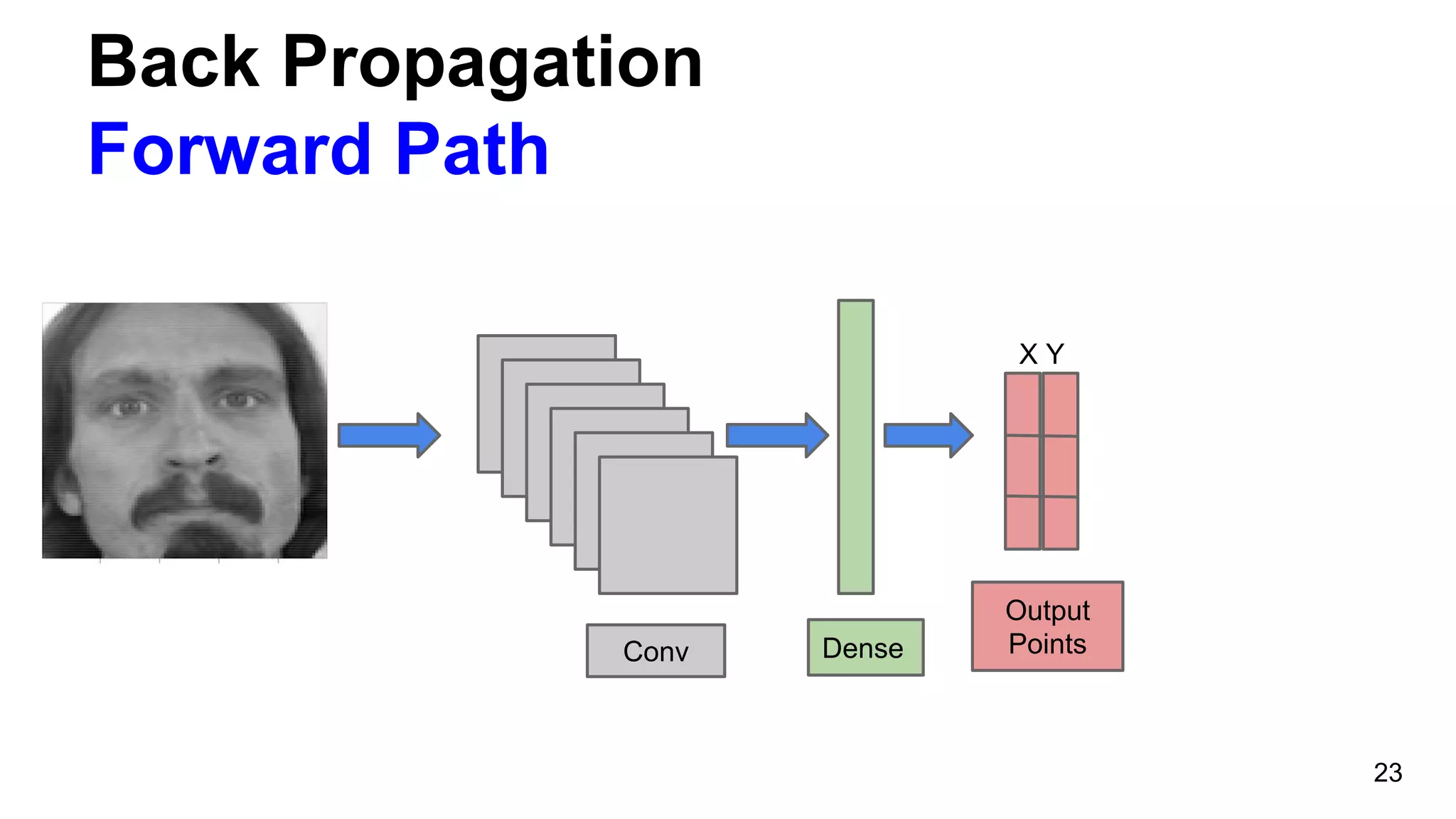 Back Propagation
Forward Path
23
Conv Dense
X Y
Output
Points
 