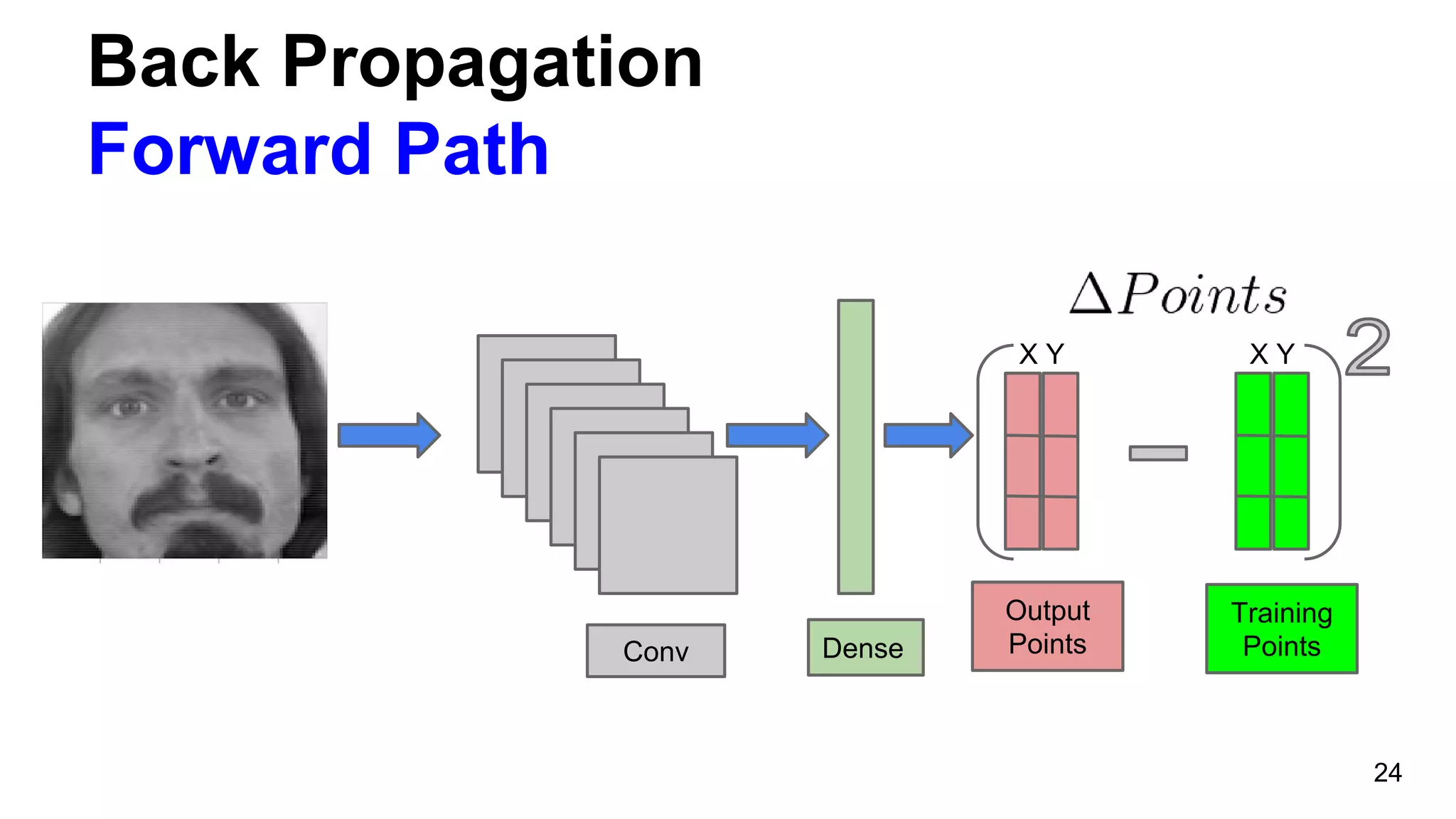 Back Propagation
Forward Path
24
X Y
Conv
Output
PointsDense
X Y
Training
Points
 