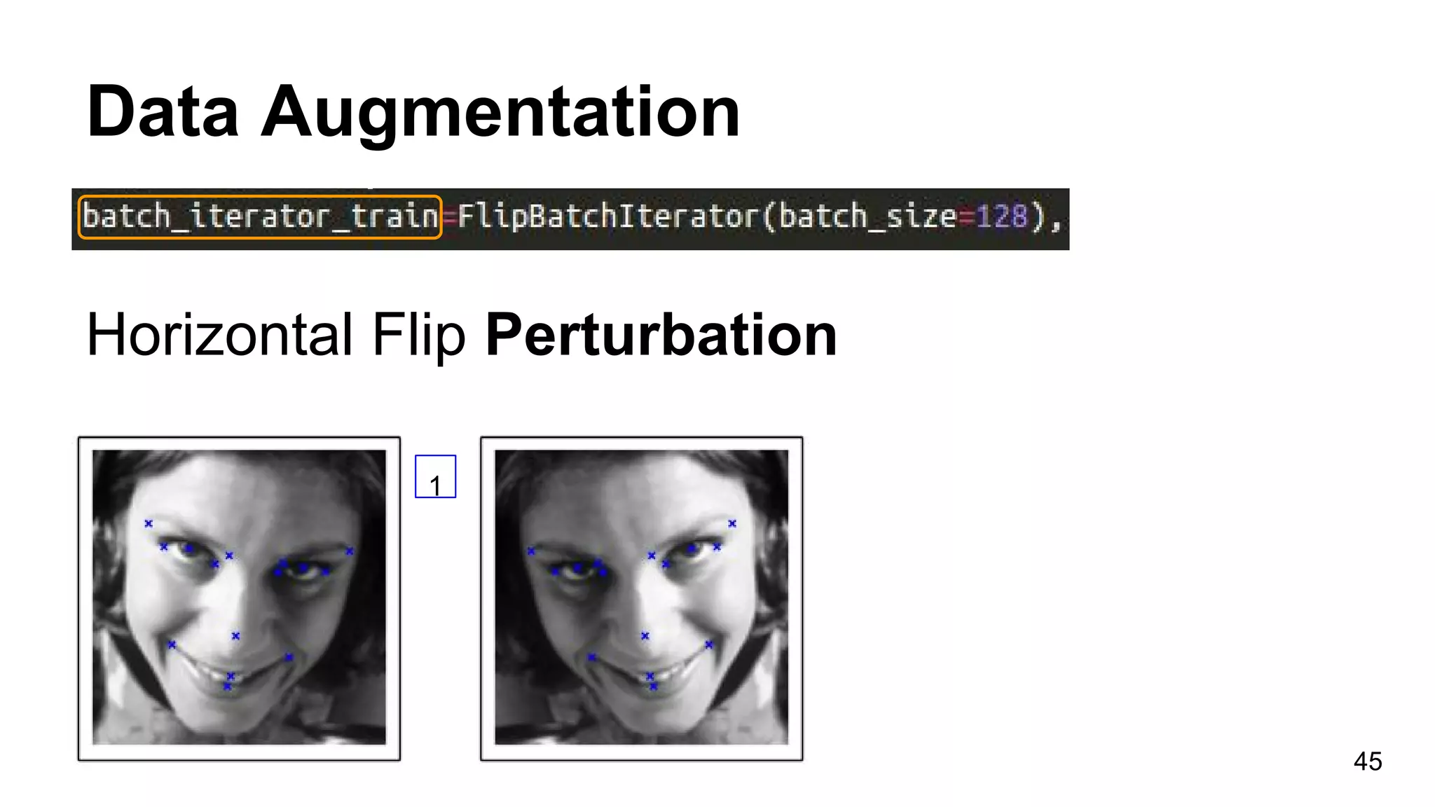 Data Augmentation
Horizontal Flip Perturbation
45
1
 