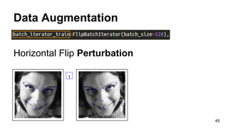 Data Augmentation
Horizontal Flip Perturbation
45
1
 
