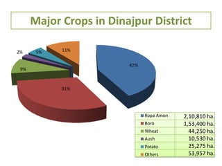 2,10,810 ha.
1,53,400 ha.
44,250 ha.
10,530 ha.
25,275 ha.
53,957 ha.
42%
31%
9%
2% 5% 11%
Ropa Amon
Boro
Wheat
Aush
Potato
Others
Major Crops in Dinajpur District
 