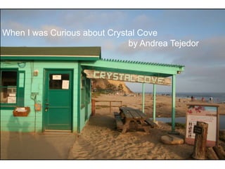 When I was Curious about Crystal Cove
                              by Andrea Tejedor
 
