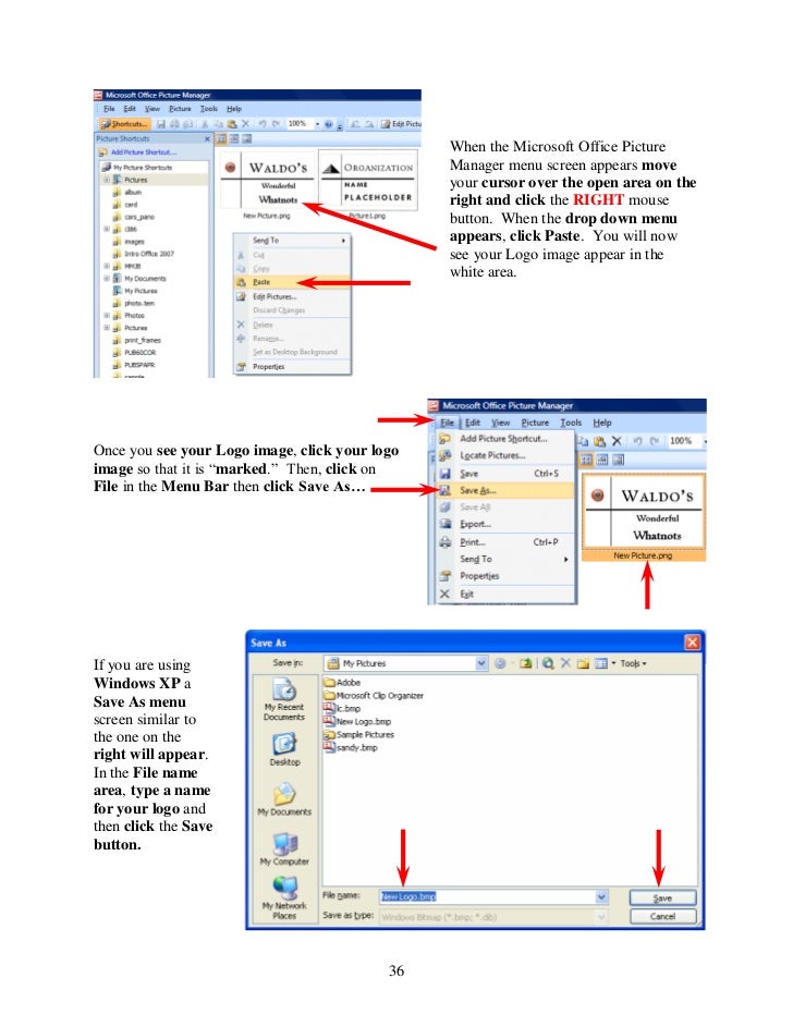 microsoft publisher for xp