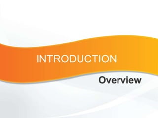 INTRODUCTION
Overview
 