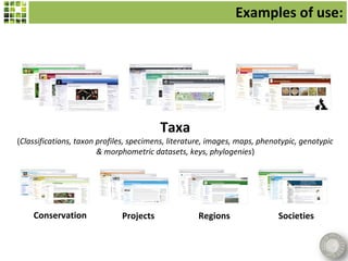 Examples of use:




                                         Taxa
(Classifications, taxon profiles, specimens, literature, images, maps, phenotypic, genotypic
                        & morphometric datasets, keys, phylogenies)




    Conservation              Projects              Regions                 Societies
 