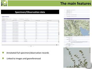 The main features
        Specimen/Observation data




Annotated full specimen/observation records

Linked to images and georeferenced
 