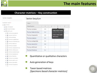 The main features
Character matrices – Key construction




             Quantitative or qualitative characters

             Auto generation of keys

             Taxon based matrices
             [Specimens based character matrices]
 