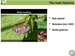 The main features

Media handling


                   Bulk upload

                   Metadata (incl. EXIF)

                   Media galleries
 