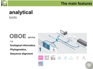 The main features

analytical
tools




OBOE service
i.a.
Ecological informatics,
Phylogenetics,
Sequence alignment
 