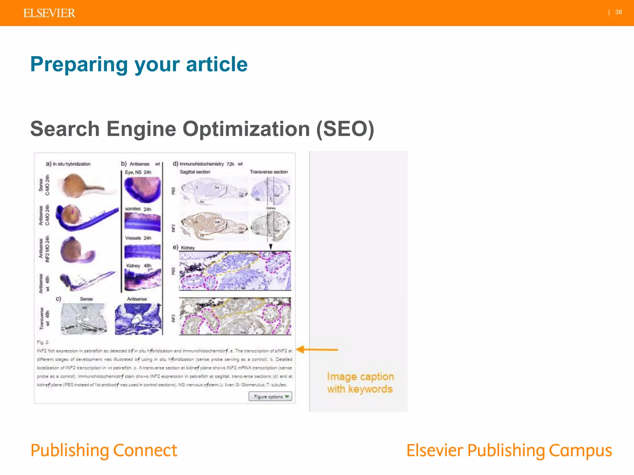 | 38
Preparing your article
Search Engine Optimization (SEO)
 