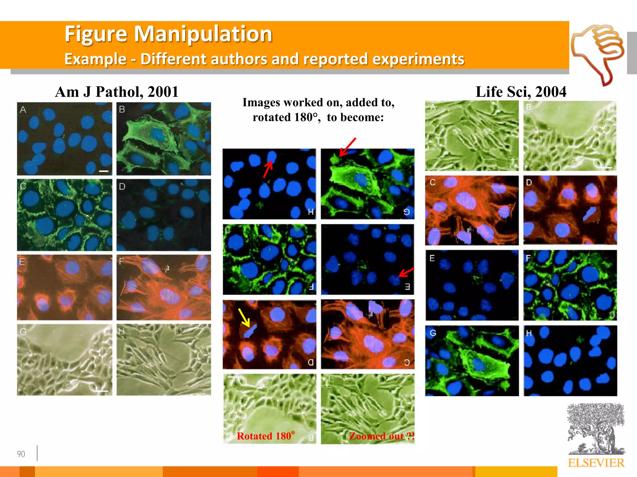 90
Figure Manipulation
Example - Different authors and reported experiments
Am J Pathol, 2001 Life Sci, 2004
Images worked on, added to,
rotated 180°, to become:
Rotated 180
o
Zoomed out ?!
 